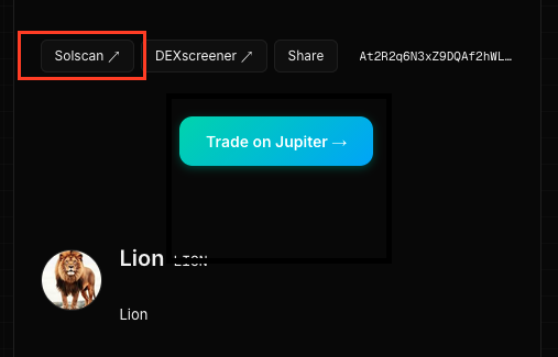 Open token on Solscan